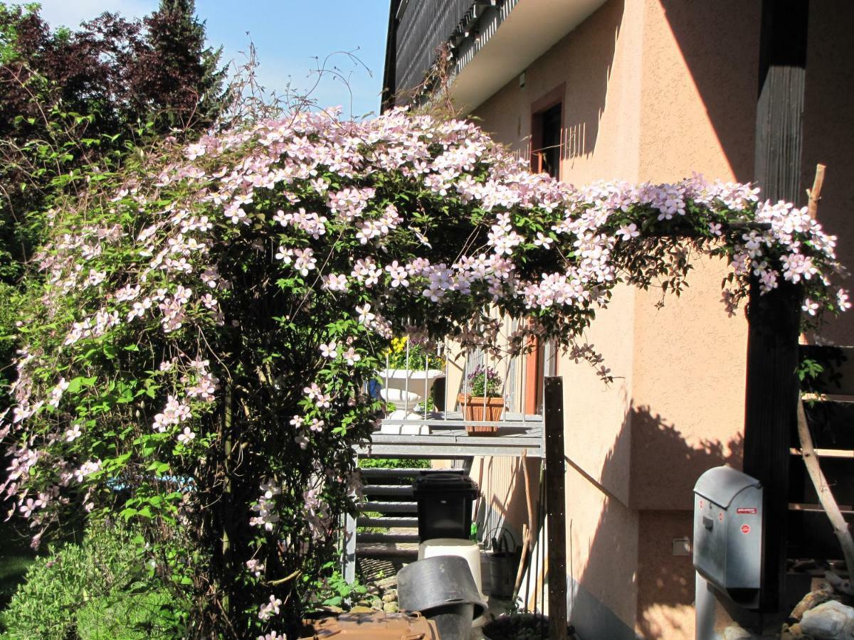 Bellairis Apartment Igersheim ภายนอก รูปภาพ